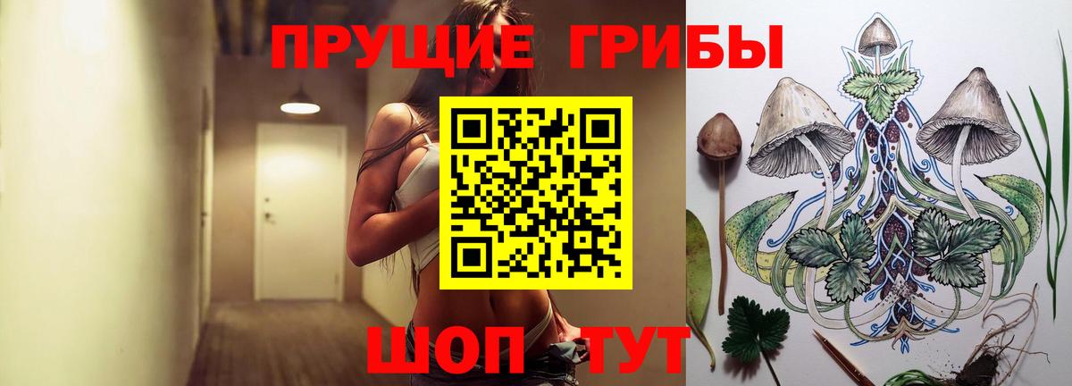 Галлюциногенные грибы Cubensis  Галлюциногенные грибы прущие грибы  Вход с VPN  Сочи 