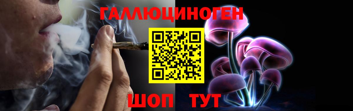 Псилоцибиновые грибы Magic Shrooms Сочи